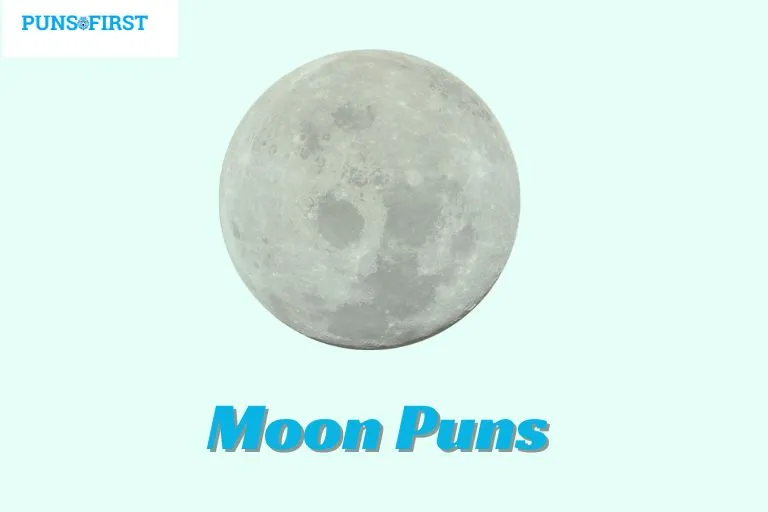 Moon Puns