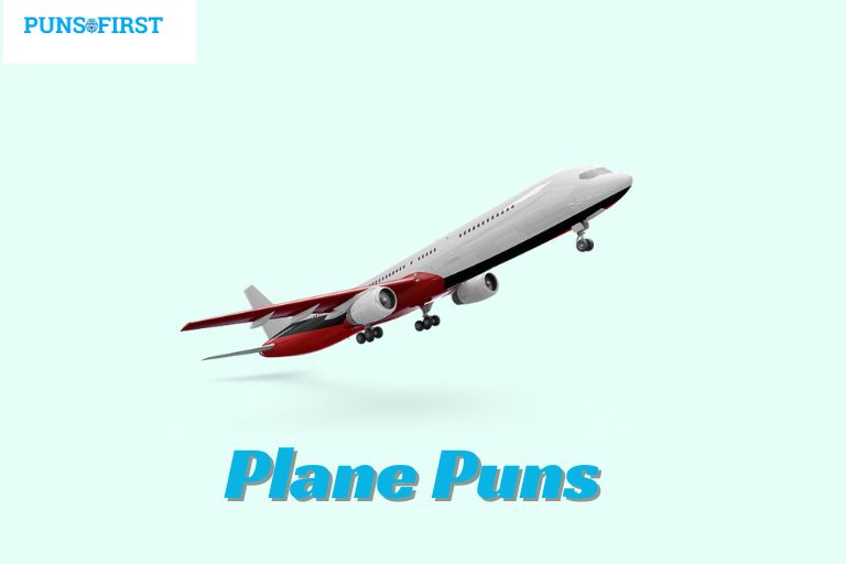 Plane Puns