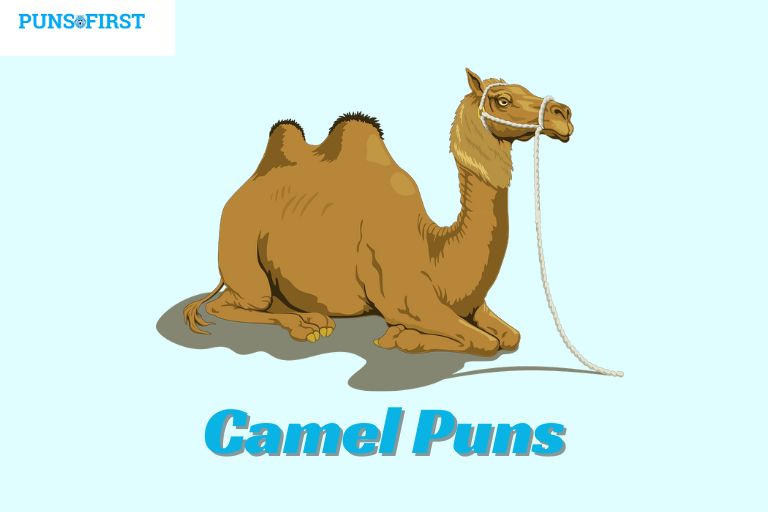 150+ Camel Puns: Hilarious & Unique Wordplay Keep Laughing