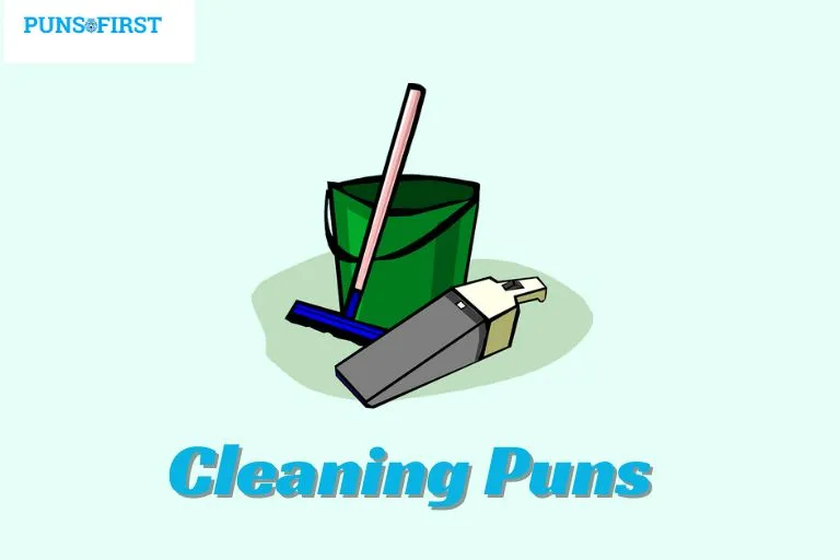 Cleaning Puns