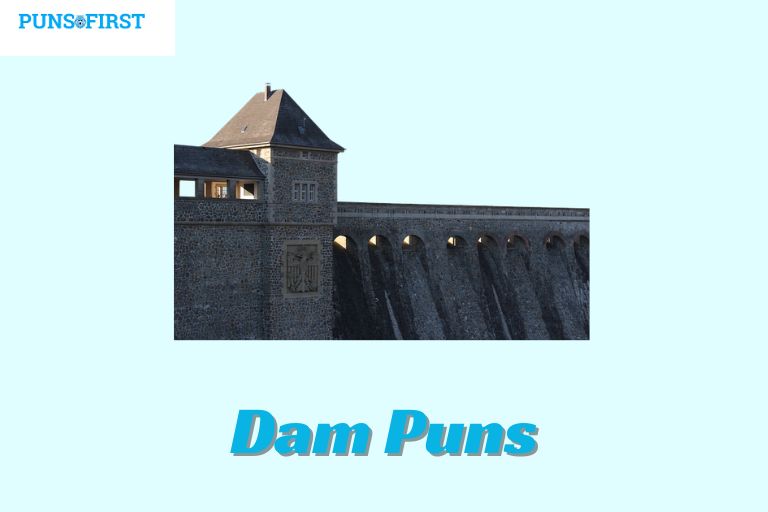 Dam Puns