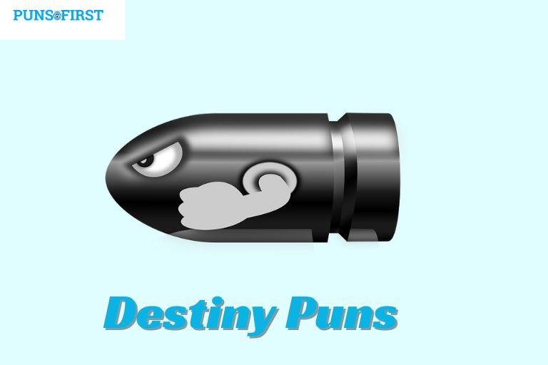 Destiny Puns