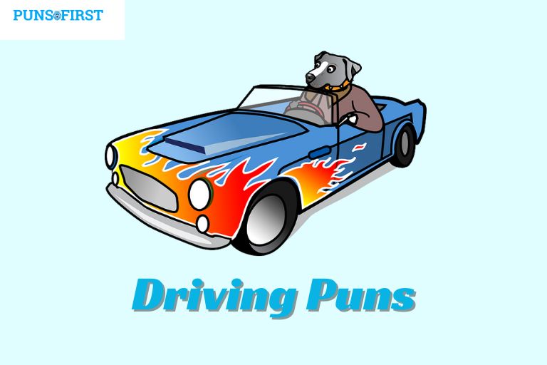 Driving Puns