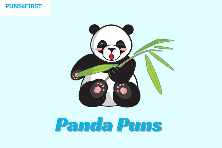 Panda Puns