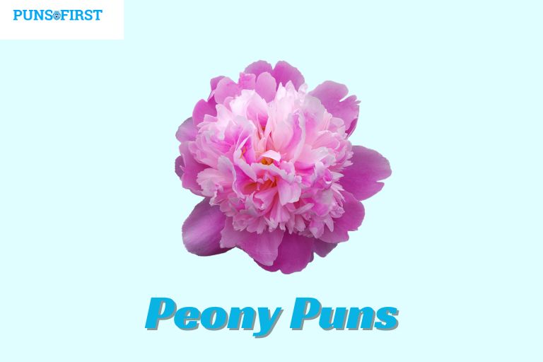 Peony Puns