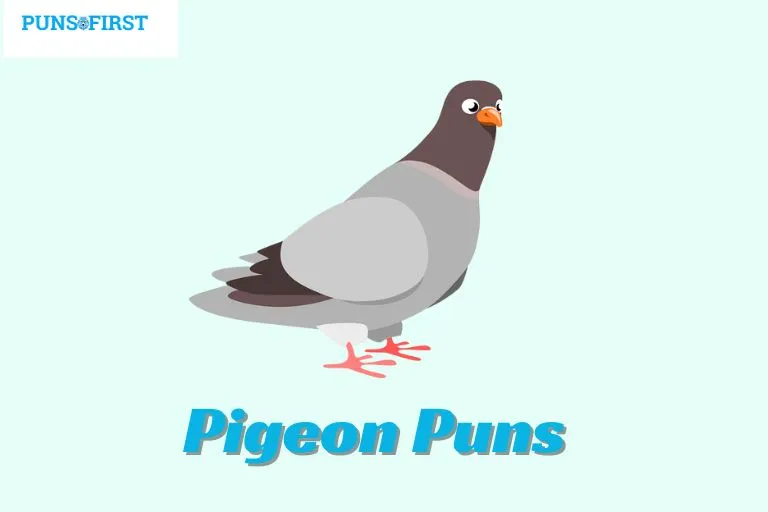 Pigeon Puns