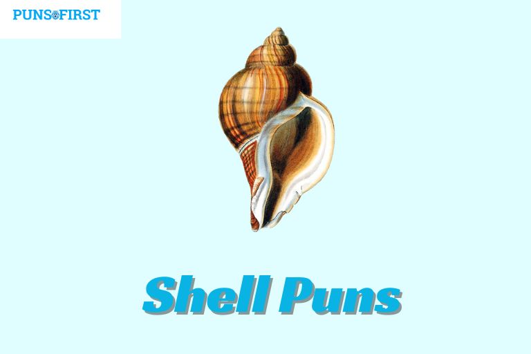 Shell Puns