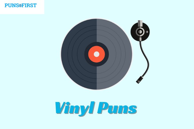 Vinyl Puns