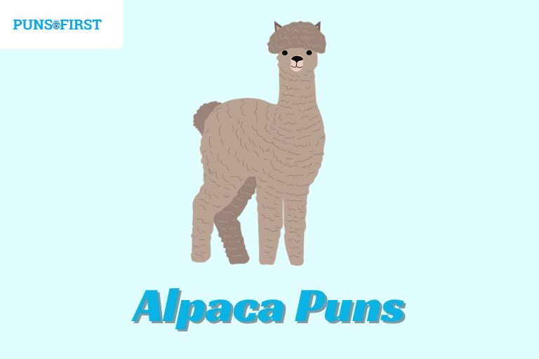 Alpaca Puns