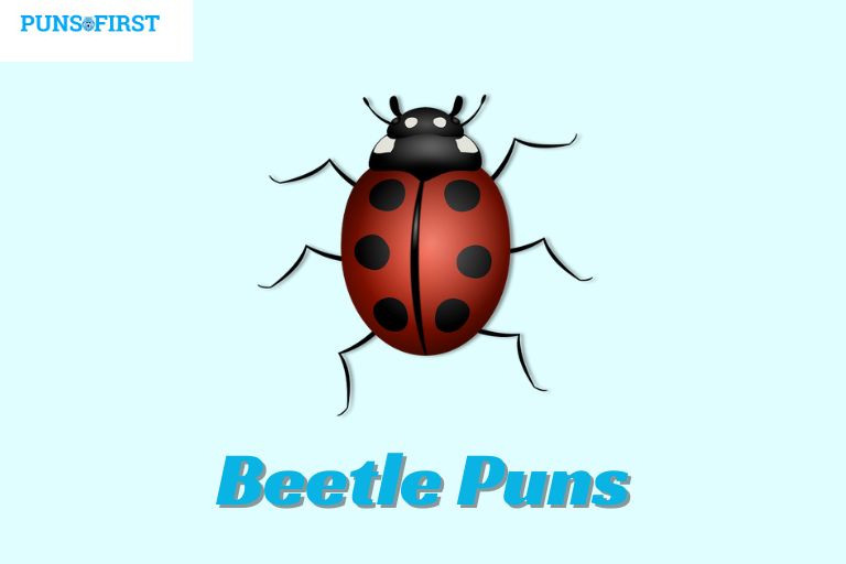 Beetle Puns