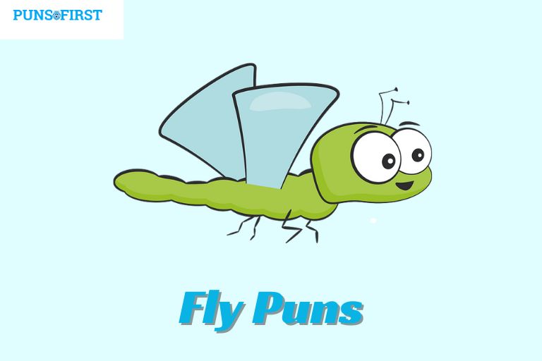 Fly Puns