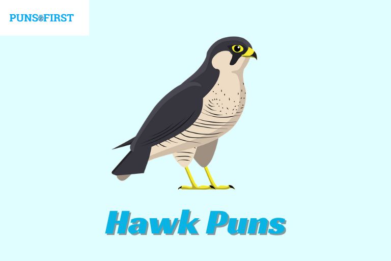 Hawk Puns