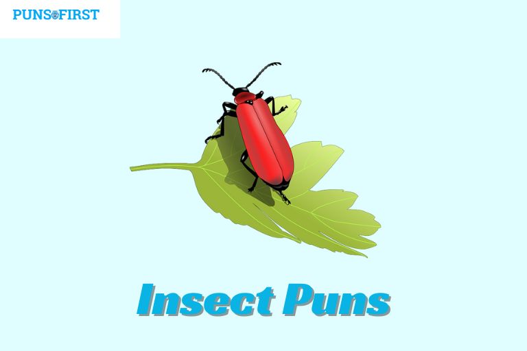 Insect Puns