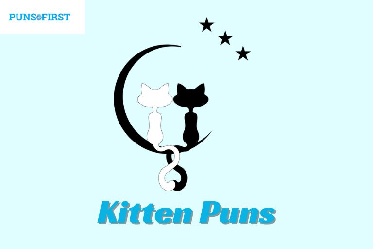 Kitten Puns