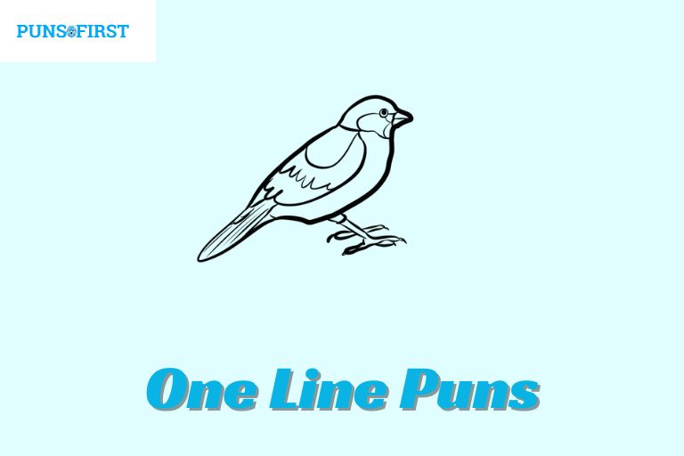 One Line Puns