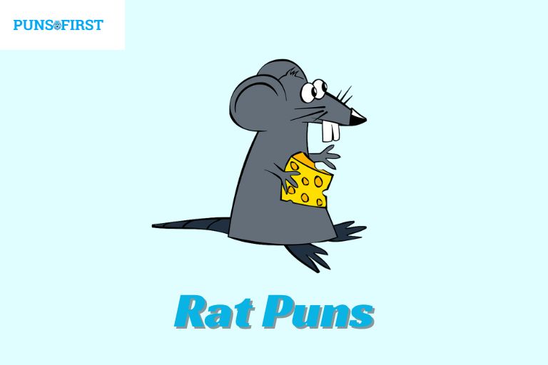 142+ Rat Puns That Will Have You Laughing in No Time