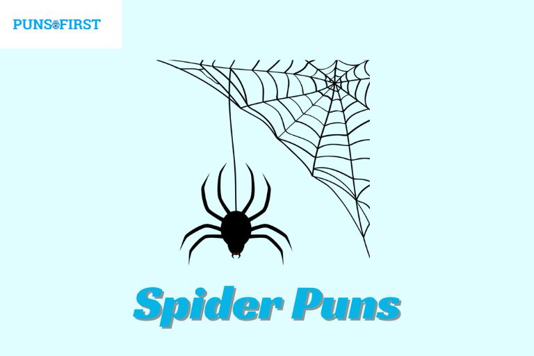 Spider Puns