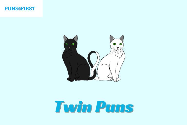 Twin Puns